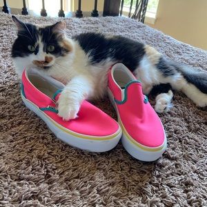 Meet your Posher, Ava